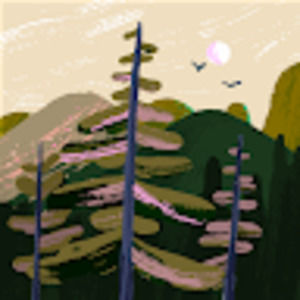 Meet your Posher, Tim